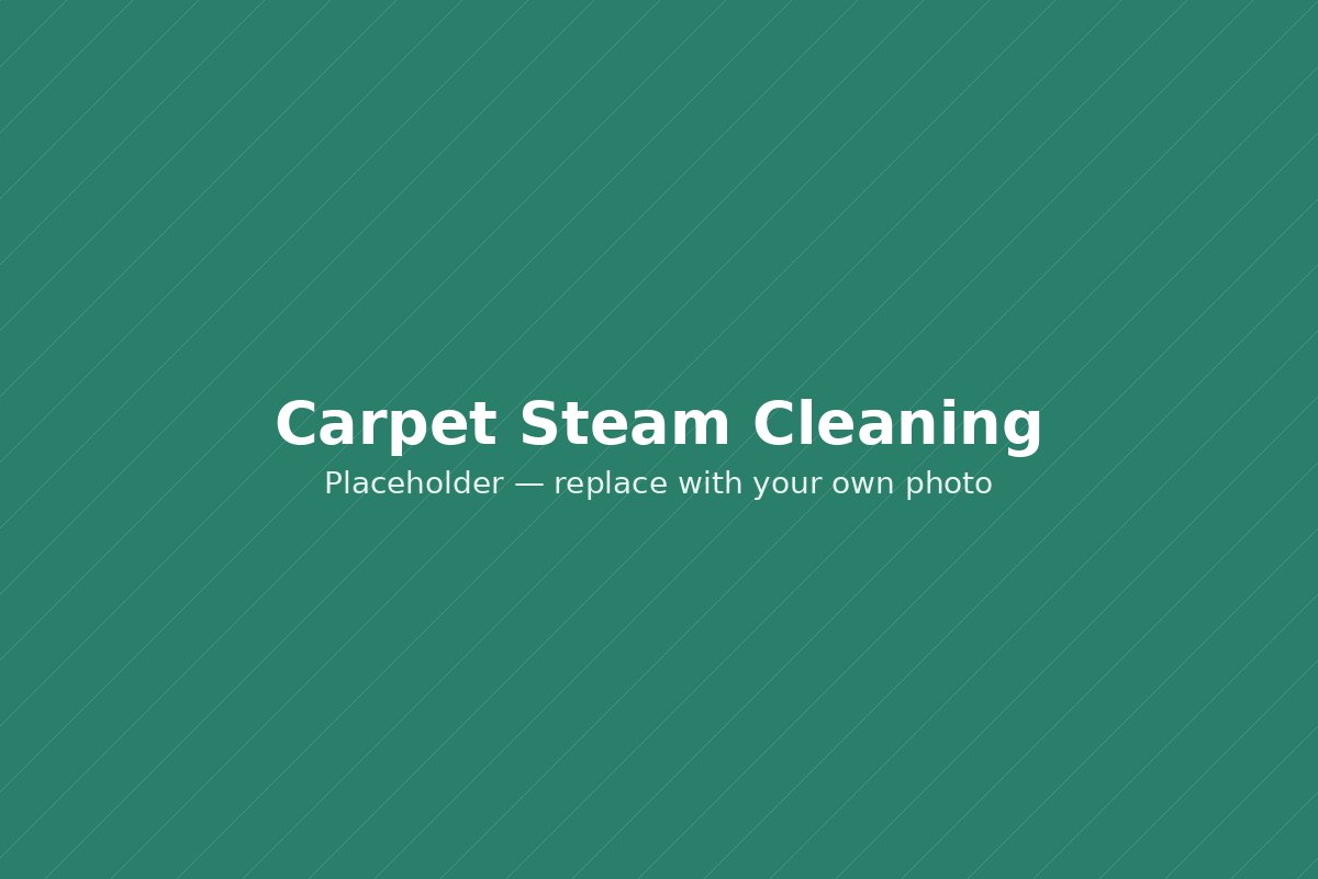 Carpet steam cleaning in progress
