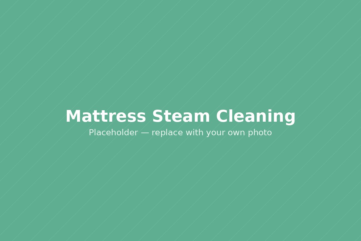Mattress steam cleaning in progress